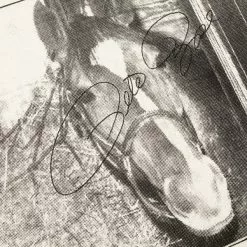 One Of These Days PETE ROSE T-SHIRT BONE 11 One Of These Days PETE ROSE T-SHIRT BONE -Bottoms Sales Store oneofthesedaysPETEROSET SHIRTBONESSS22 1BON6 4 grande