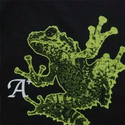 Perks And Mini FROG SS TEE BLACK 8 Perks And Mini FROG SS TEE BLACK -Bottoms Sales Store perks miniFROGSSTEEBLACKS1466D 3 grande