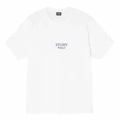 Stüssy STUSSY WORLD TEE WHITE