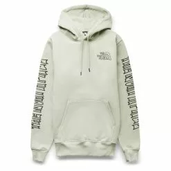 The North Face PRINT HEAVYWEIGHT PULLOVER HOODIE TEA GREEN
