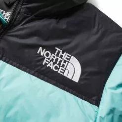 The North Face WOMEN'S 96 RETRO NUPTSE JACKET WASABI 9 The North Face WOMEN'S 96 RETRO NUPTSE JACKET WASABI -Bottoms Sales Store thenorthfaceW96RETRONUPTSEJACKETWASABIXSNF0A3XEO6R7 3 grande